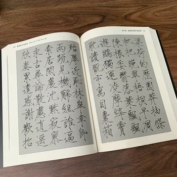 Shou Джин Ti Brush Pen Тетрадка за калиграфия Урок по Китайска калиграфия Уводна с Подробна Анотация умения