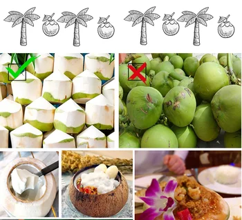 Зелената машина за ограничаване на кокосови орехи / полуавтоматична машина за отваряне на кокосови орехи