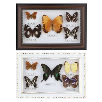 Изящни пеперуди, проба на насекомо, подарък за рожден ден, рамка за снимки, украса за дома декор на стената