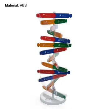 Модели на ДНК Структурата на Двойната Спирала на Обучение Образователна Играчка ABS Двойна Спирала САМ Човешки Гени за Биологичната наука